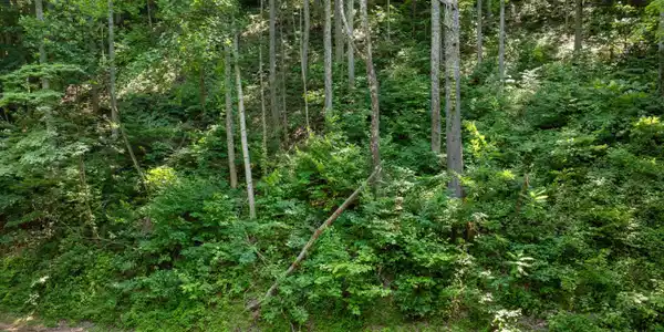 Image 2: DJI_0329