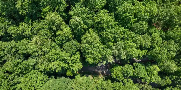 Image 3: DJI_0334