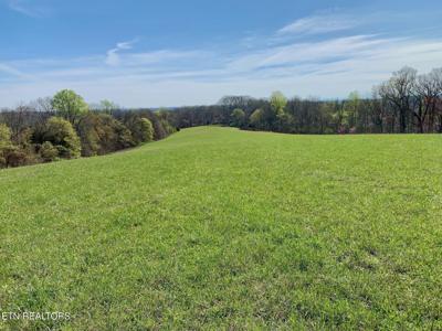 Somerset Estates | Homesite 7