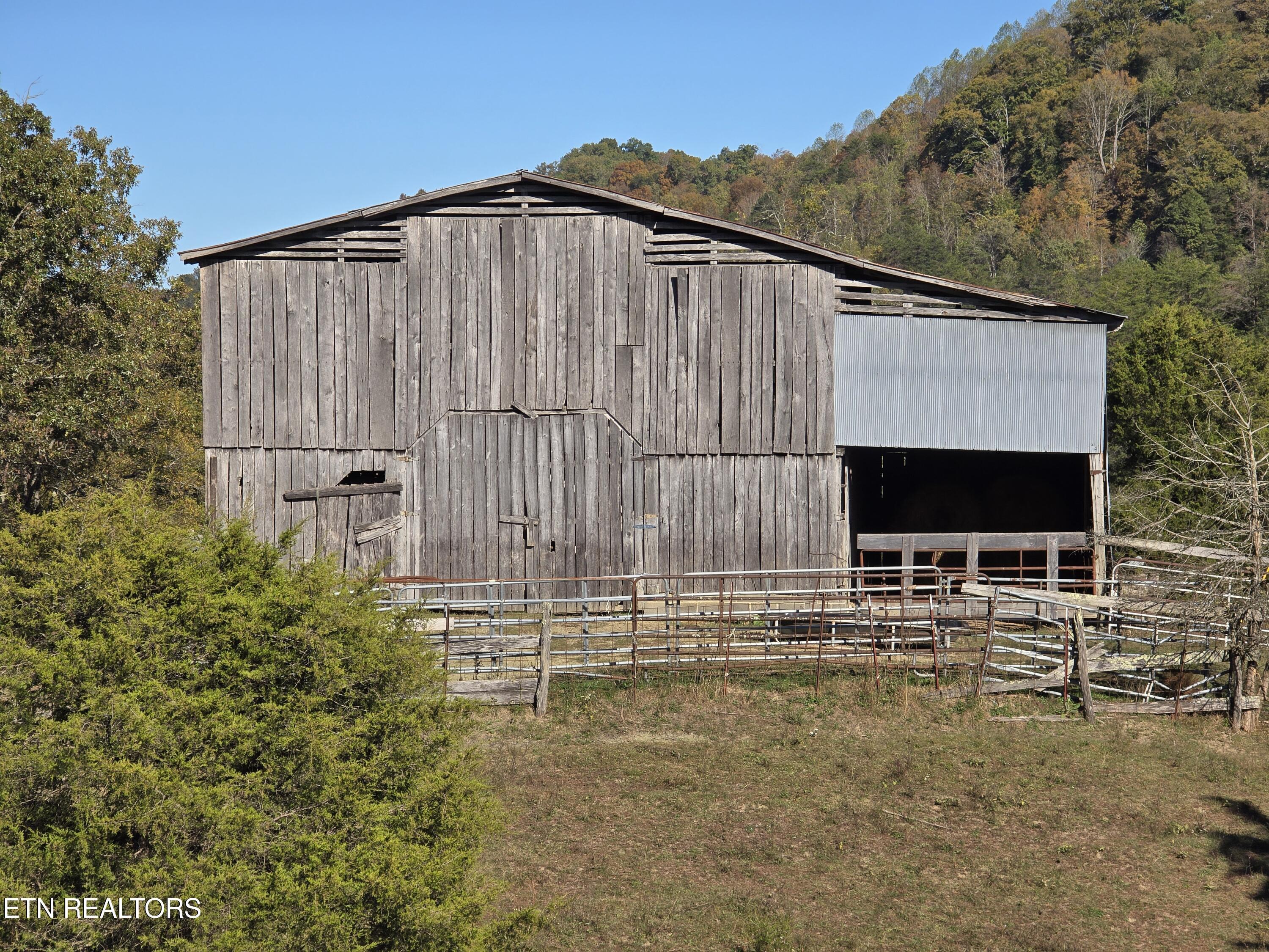 Image 2: B16