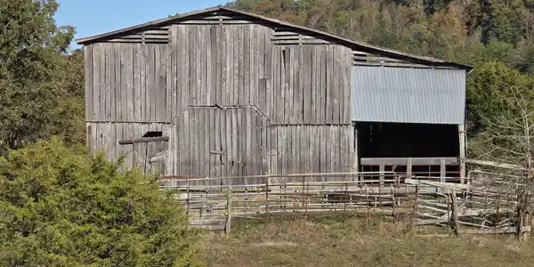 Image 2: B16