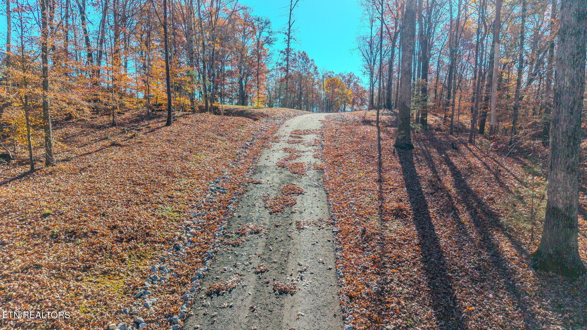 Image 2: 8-web-or-mls-DJI_20251117103009_0407_D