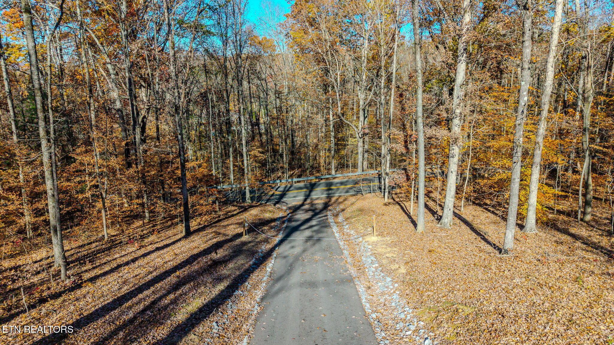 Image 3: 7-web-or-mls-DJI_20251117102958_0406_D