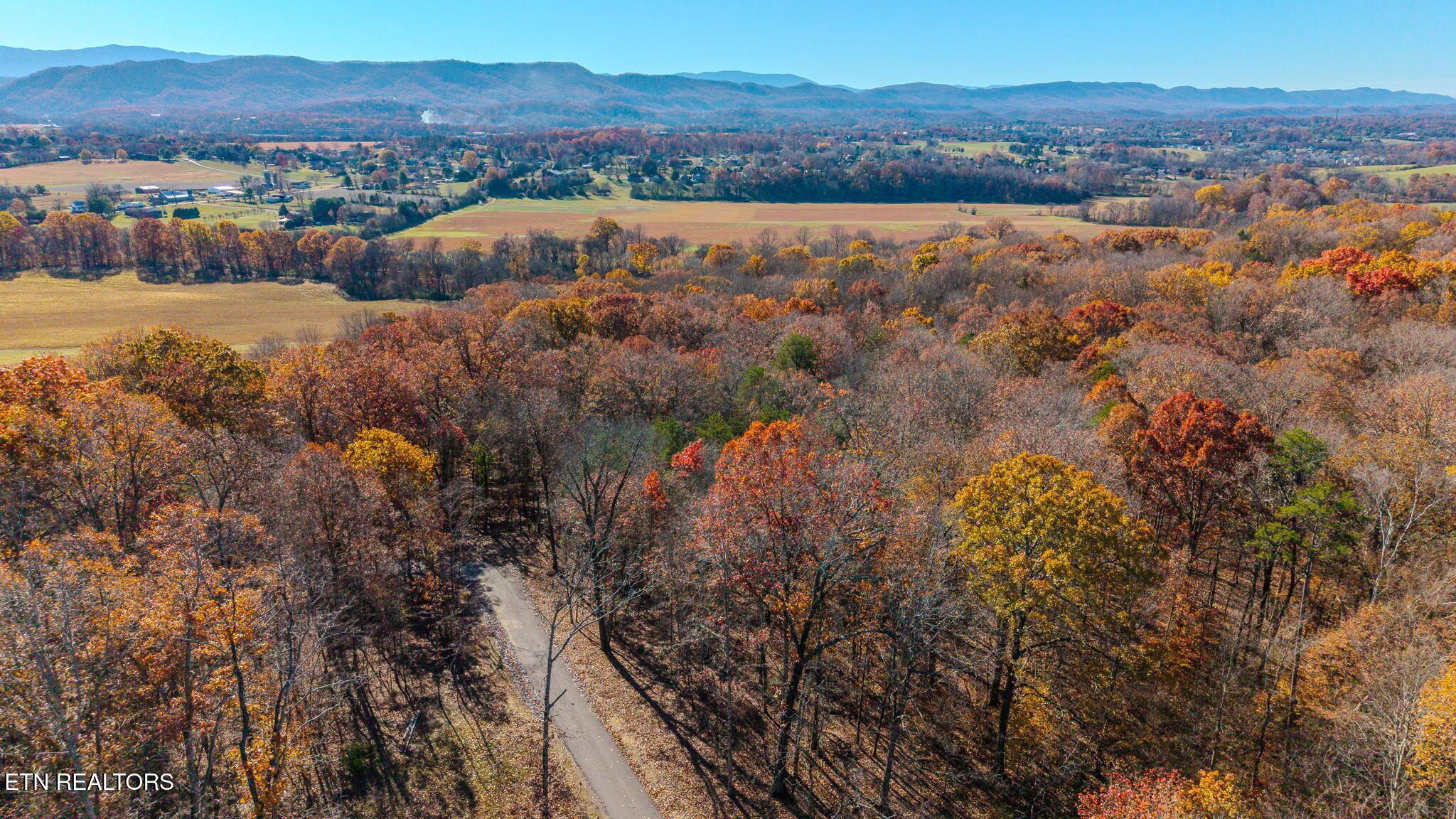 Image 4: 6-web-or-mls-DJI_20251117102925_0405_D