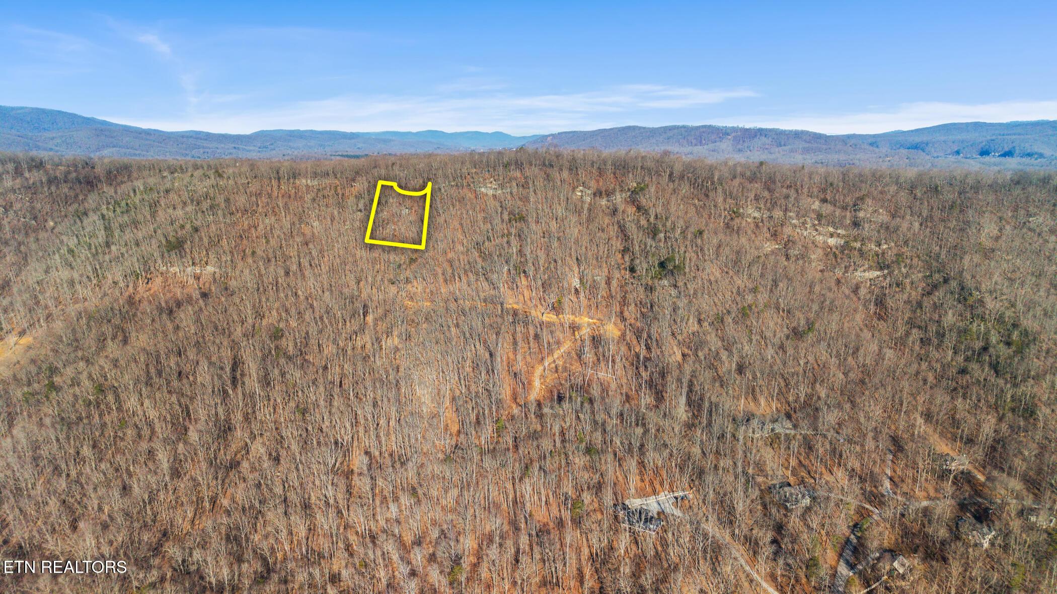 Image 3: dji_20260212092523_0331_d_lot6