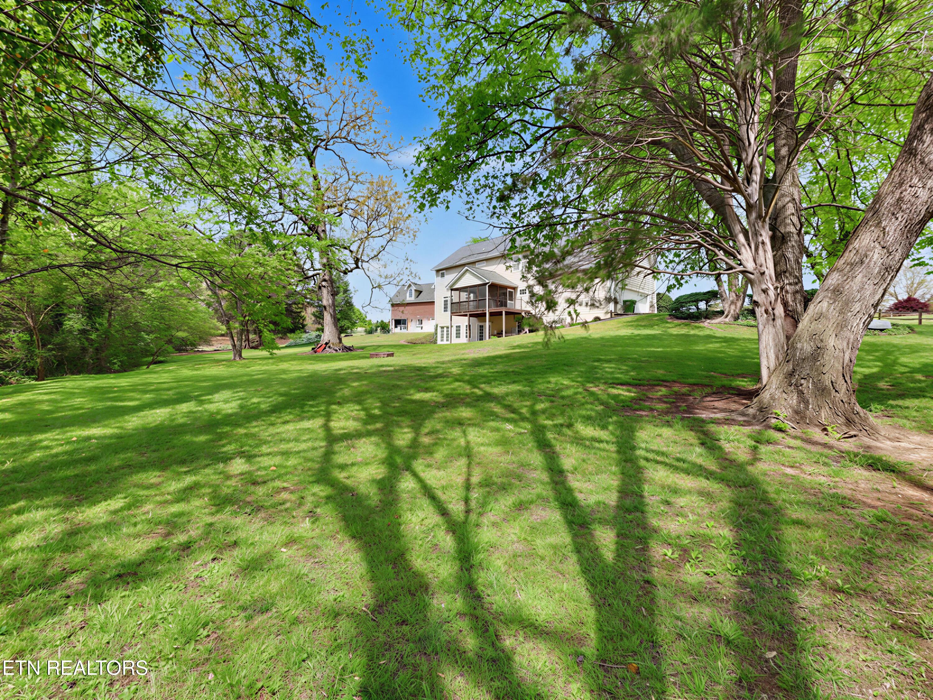 Image 4: Spacious backyard