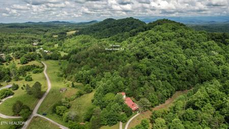 Shoal Creek Rd
