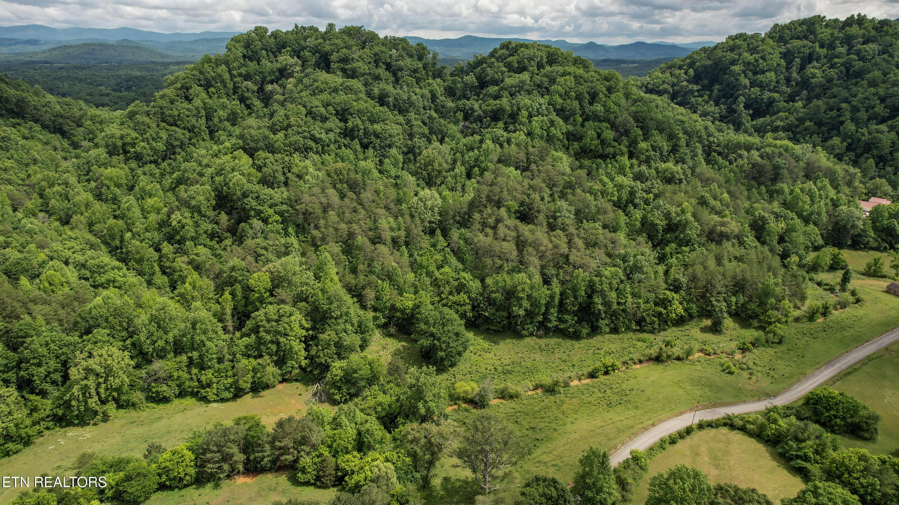 Image 2: 2-DJI_0133