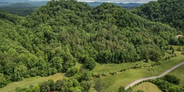 Image 2: 2-DJI_0133