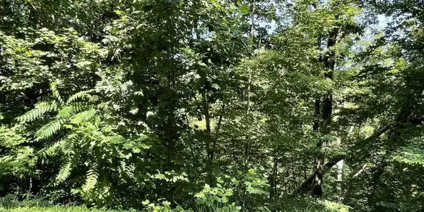 Lot 926 Stoneway Court