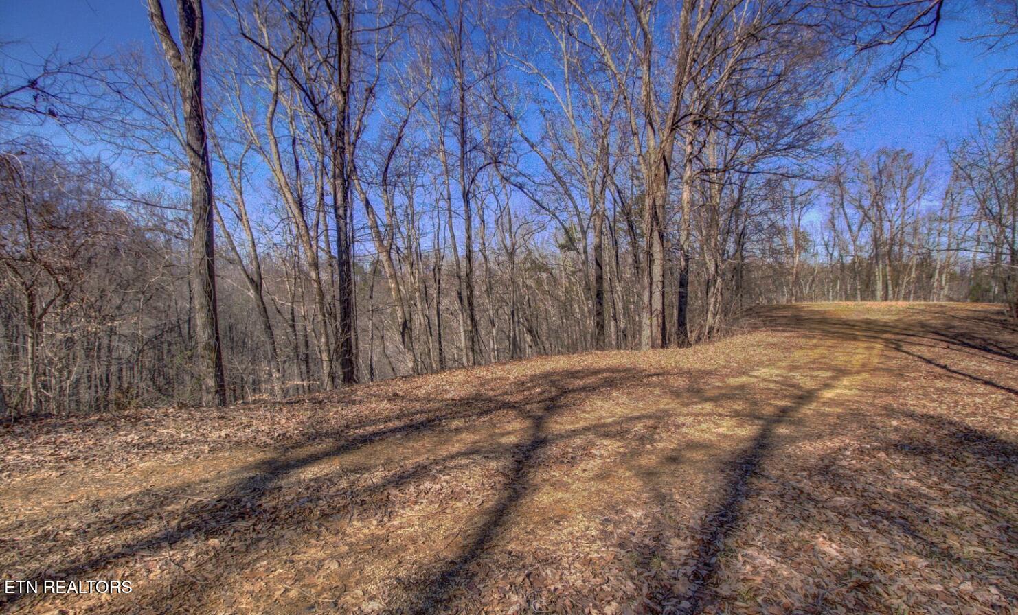 Image 3: 4575 Crooked Creek Way Lots 2 & 3