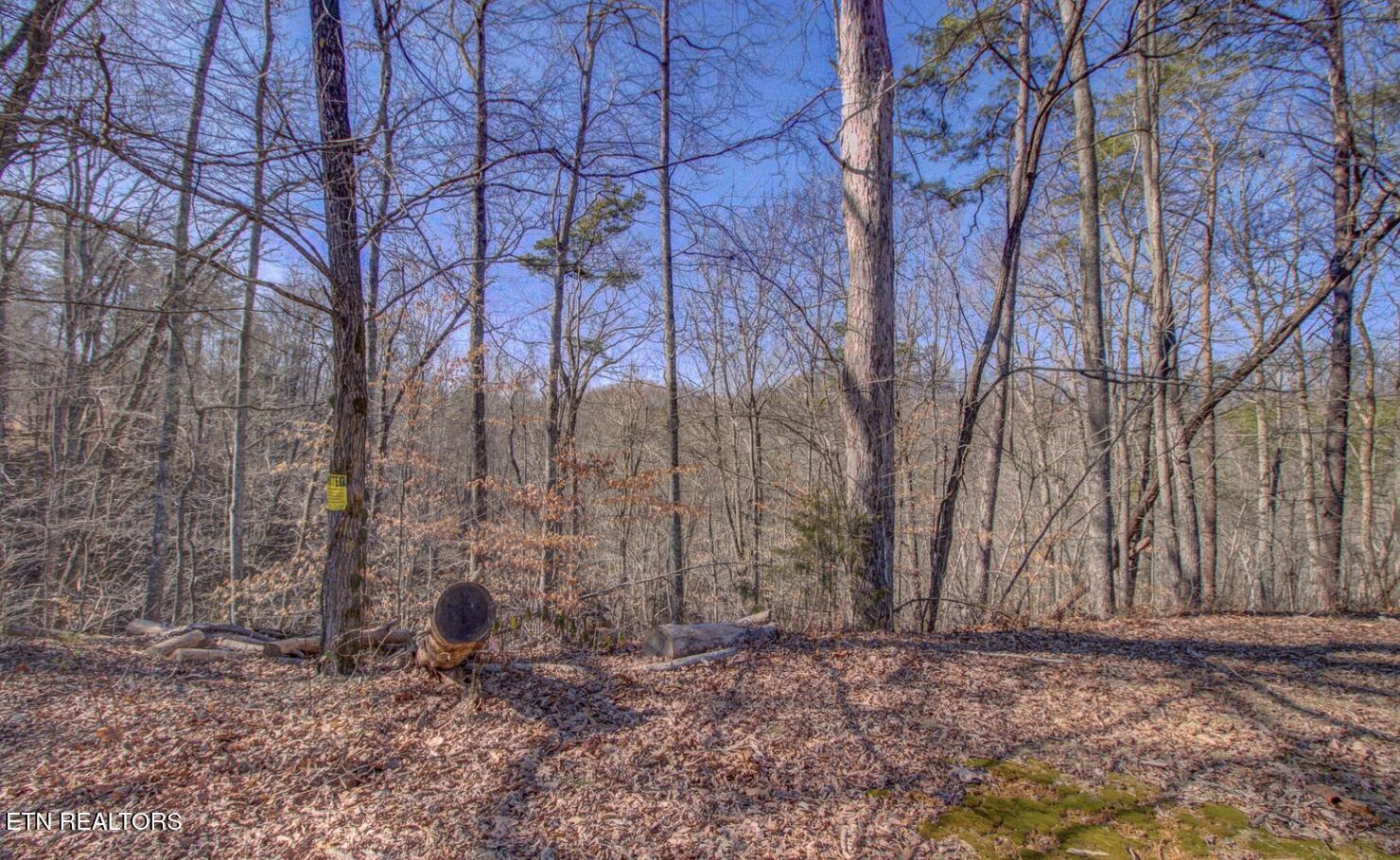 Image 4: 4575 Crooked Creek Way Lots 2 & 3