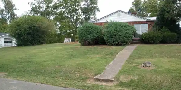 Image 3: side view