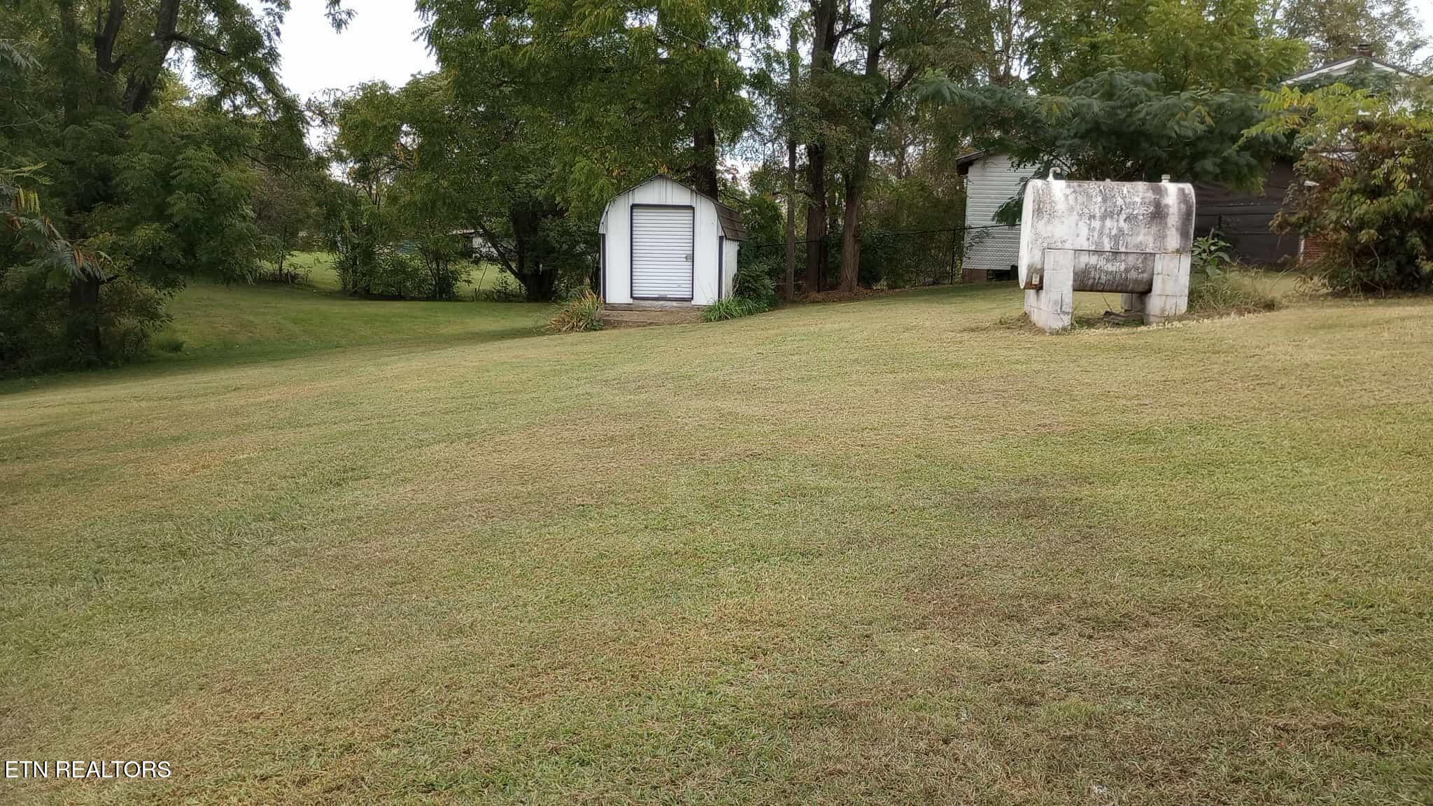 Image 4: back yard