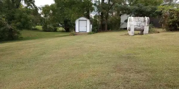 Image 4: back yard
