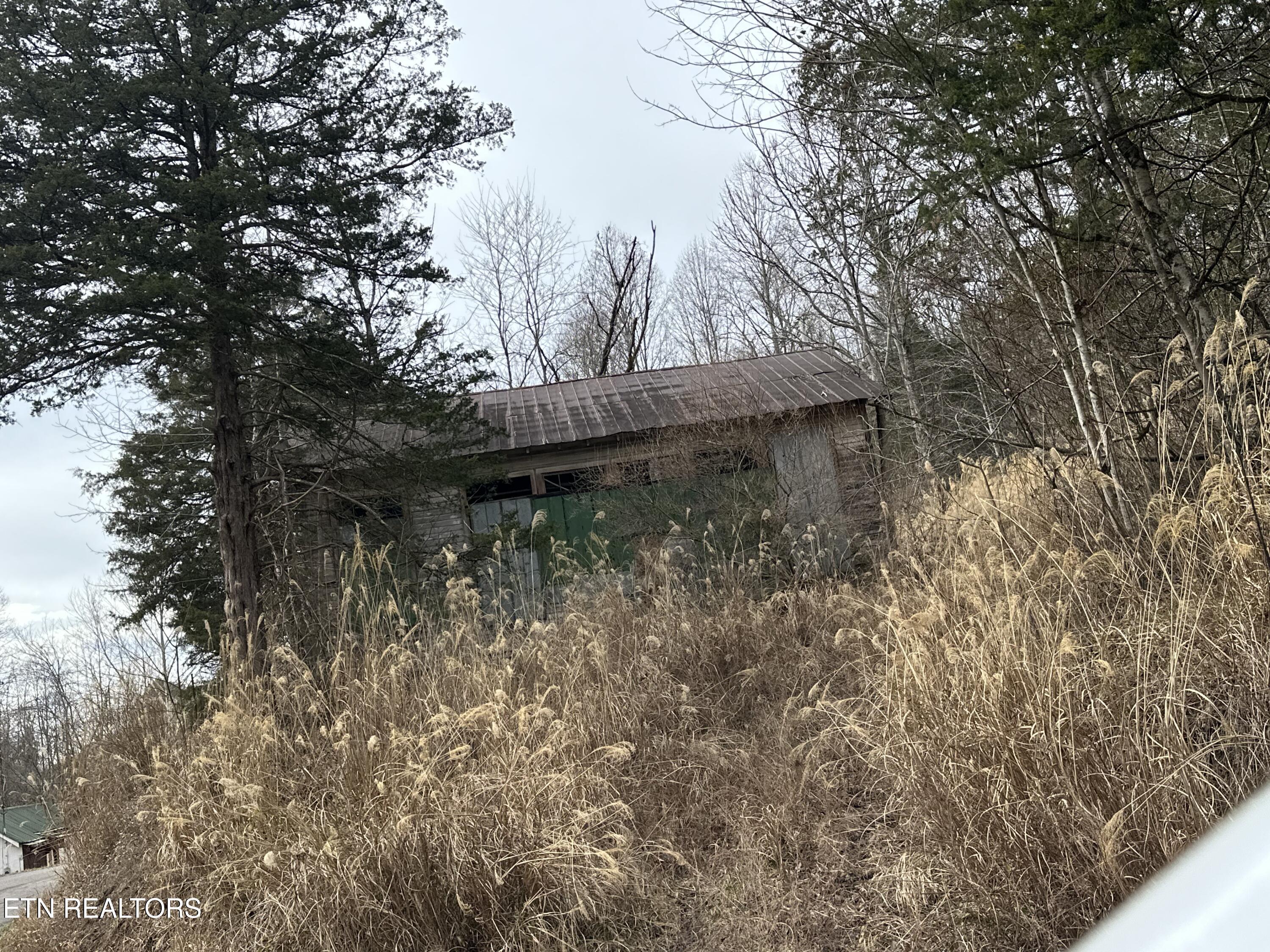 Image 2: IMG_8811