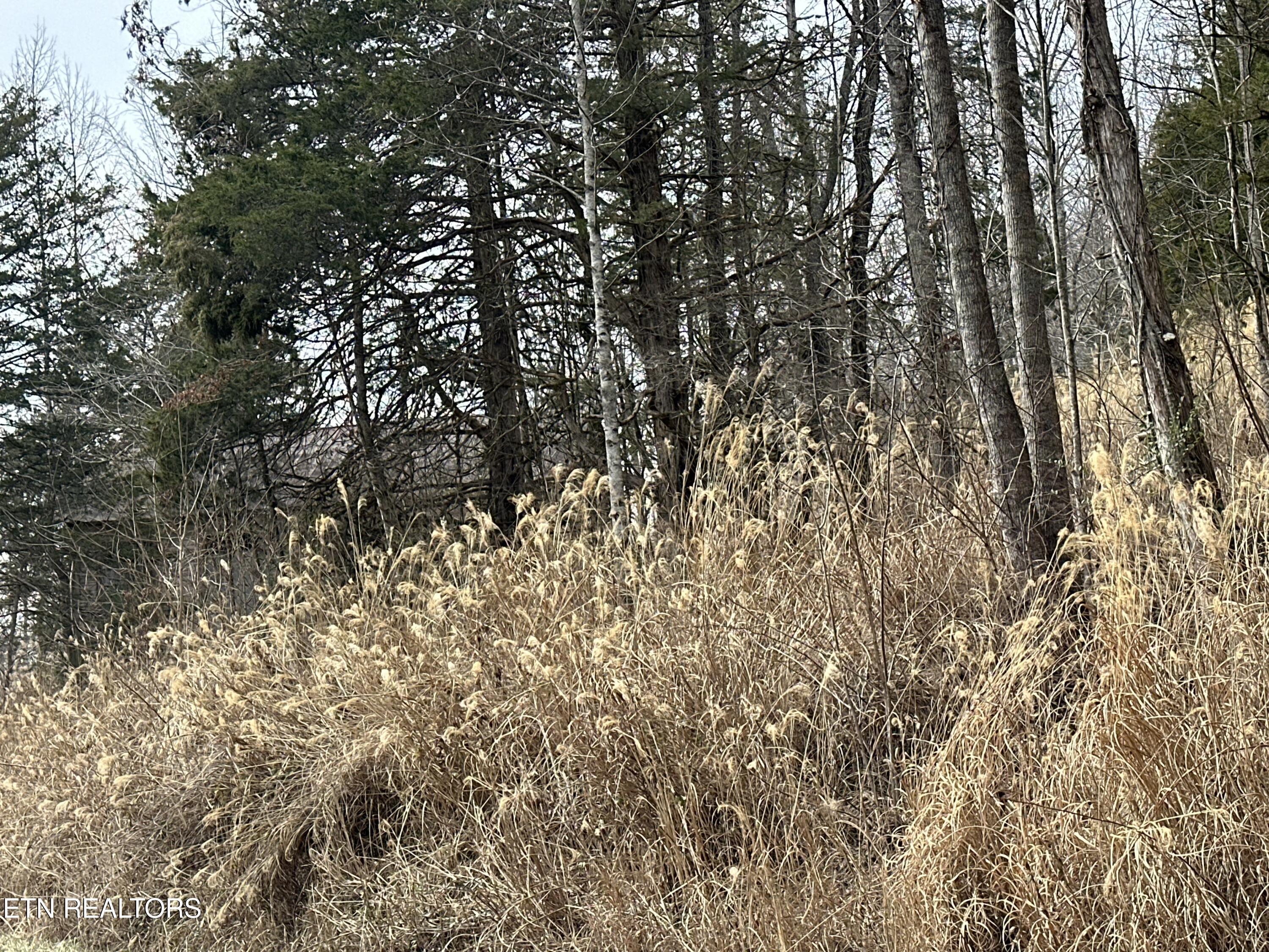 Image 3: IMG_8810