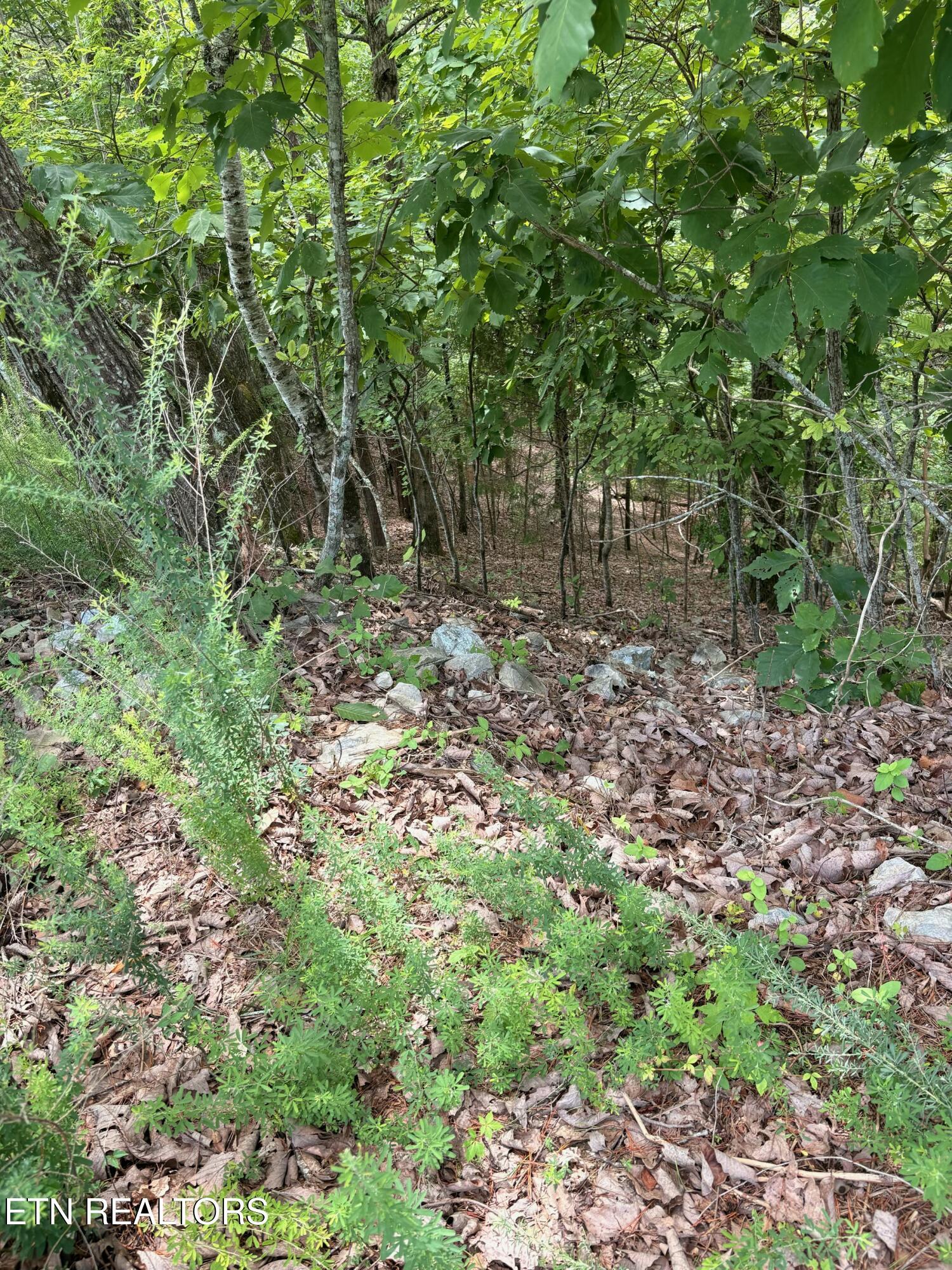 Image 2: IMG_3820
