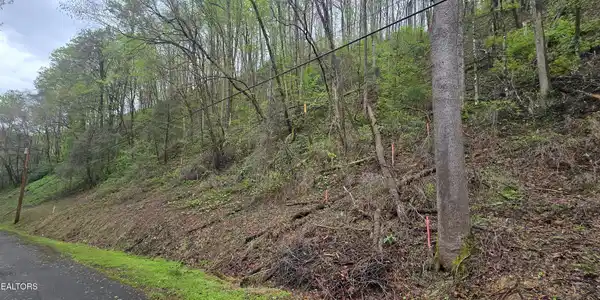 0 Black Walnut Flats Rd