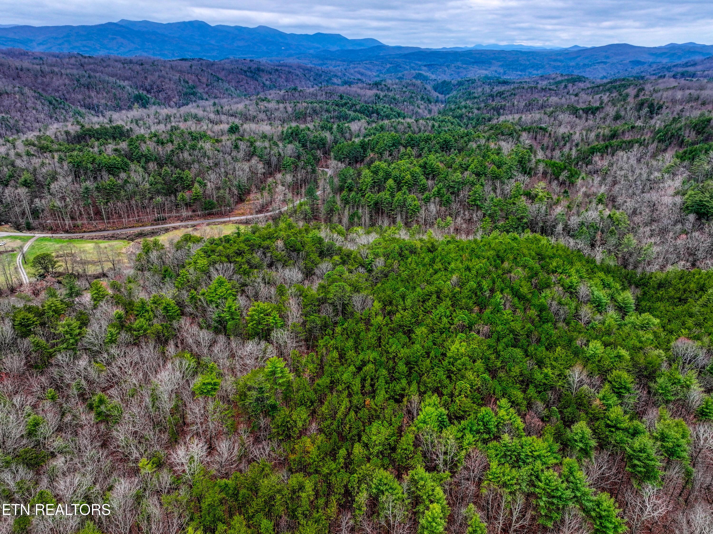 Image 1: TELLICO 6