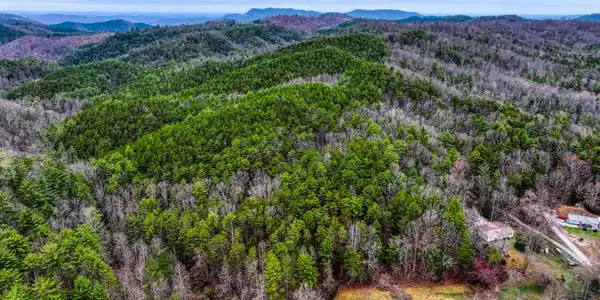 Image 3: TELLICO 2