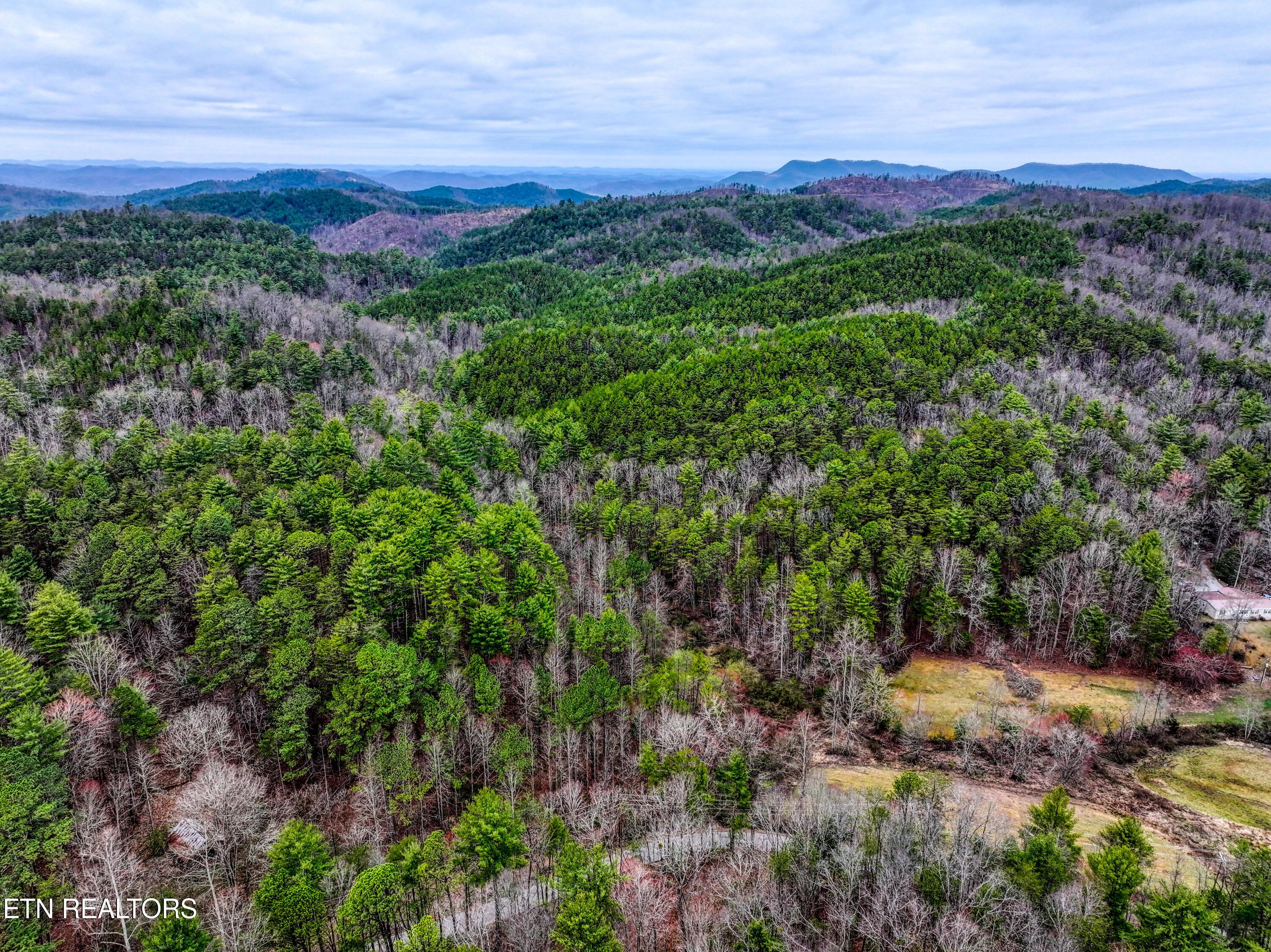 Image 4: TELLICO 5