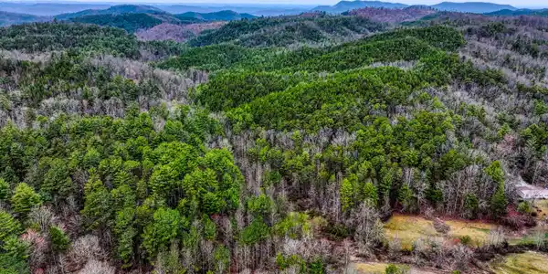 Image 4: TELLICO 5