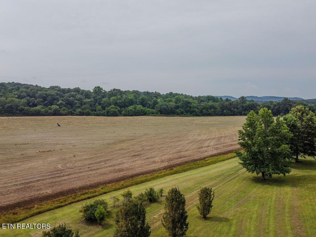 Image 1: DJI_0524