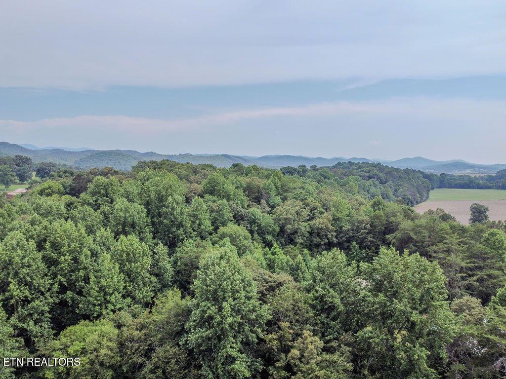 Image 3: DJI_0520