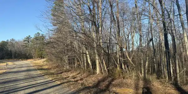 Bear Knob Lane