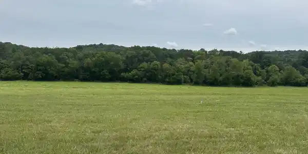 Lot 2 Rutledge Pike