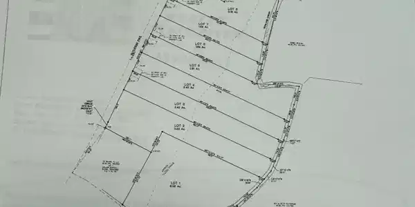 Image 3: IMG_8801