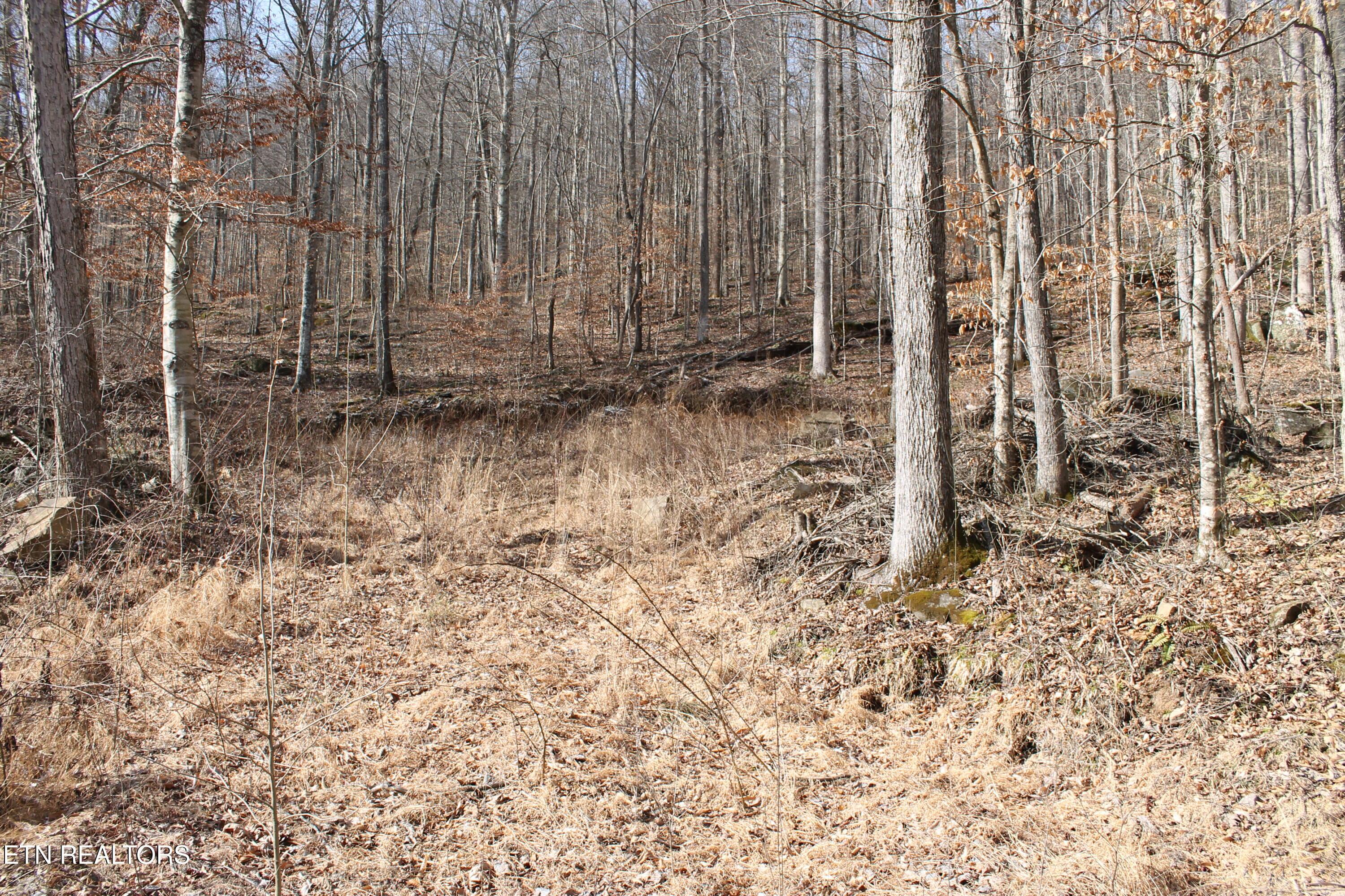 Image 2: IMG_7963