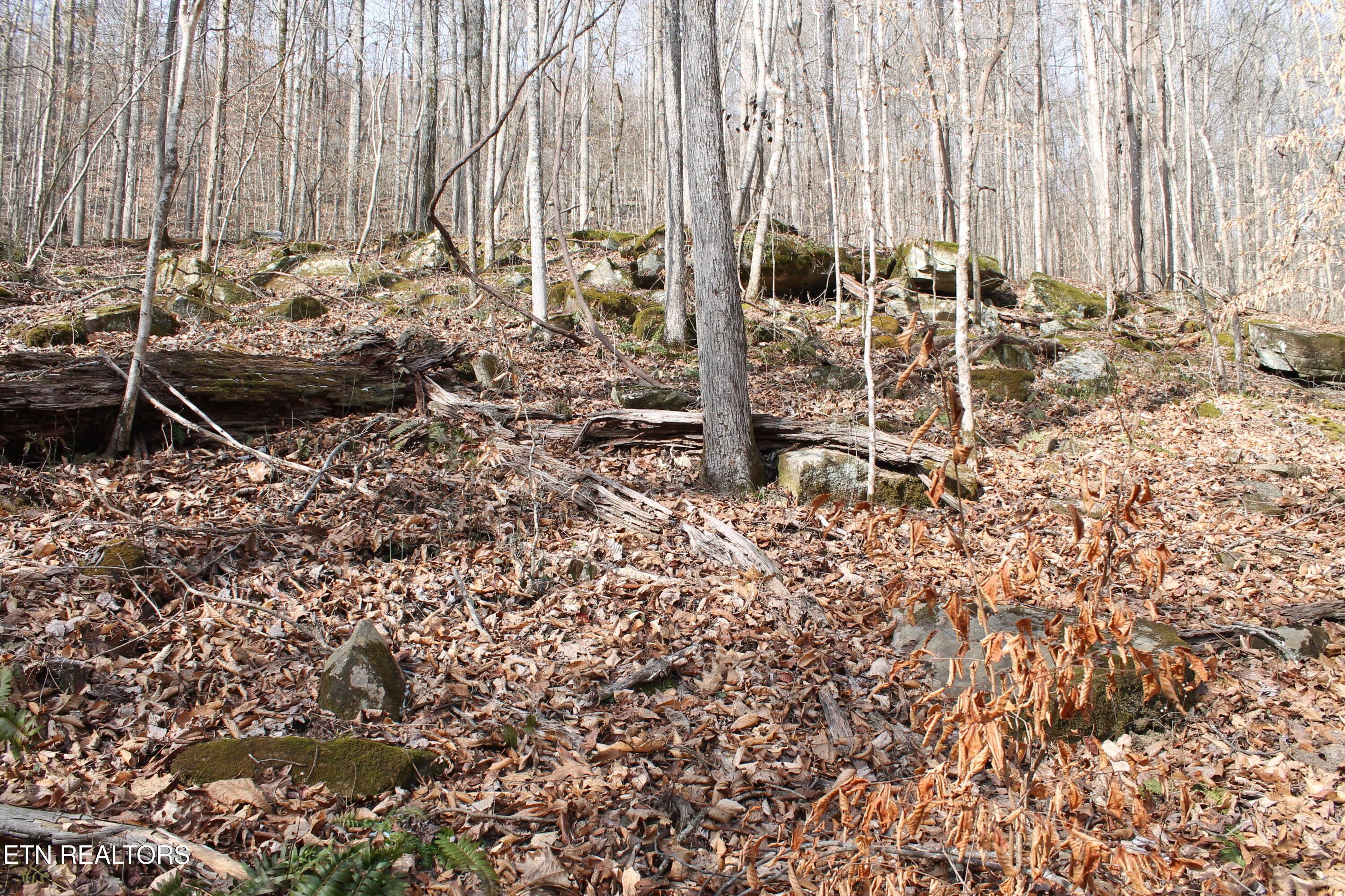 Image 4: IMG_7969