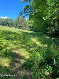 Lot 4 Chapman Rd