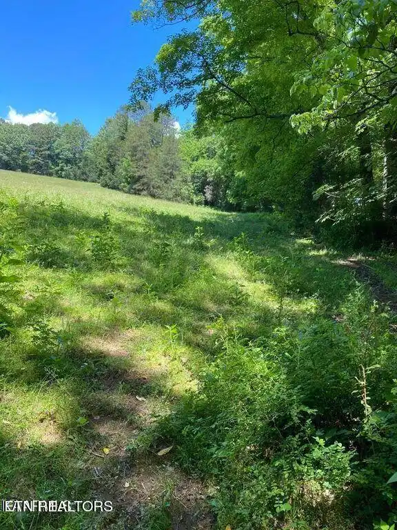 Image 1: lot1
