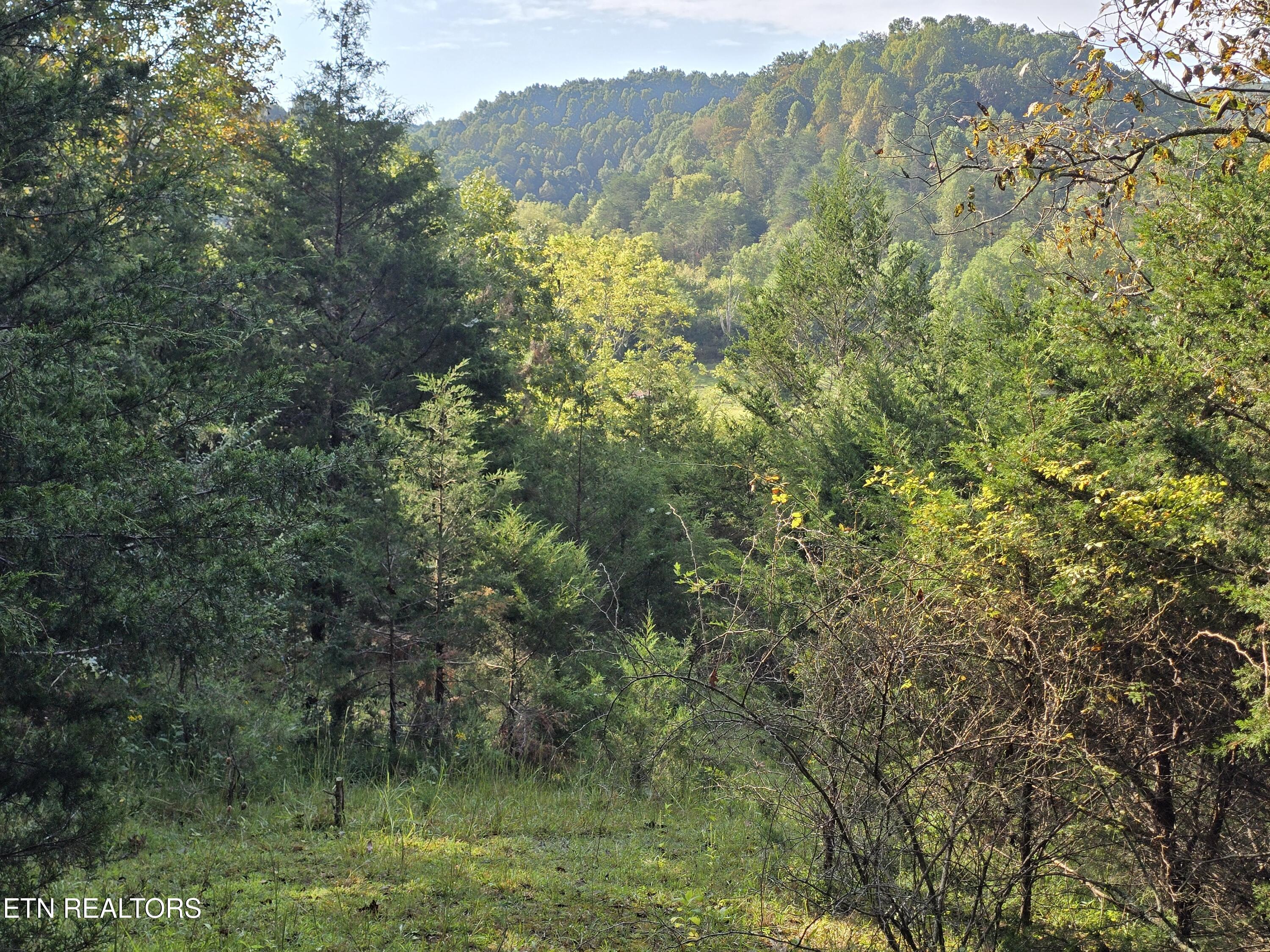Image 4: 20250916_101209