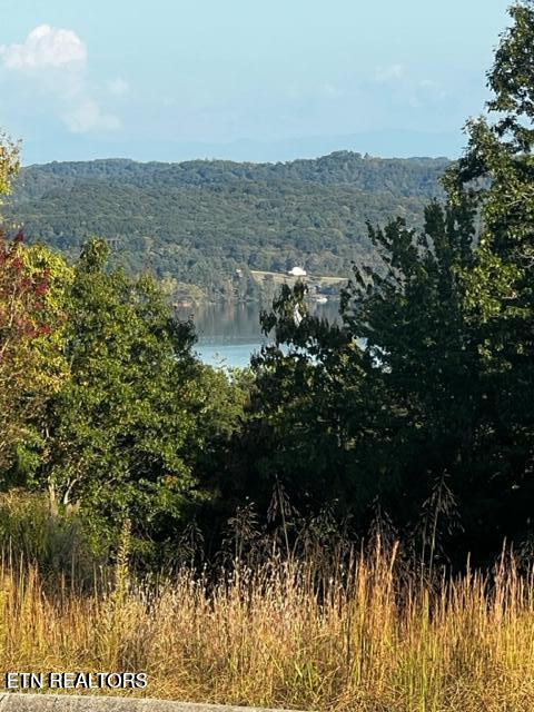 Image 4: Lot 4