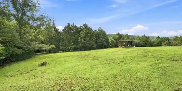 Image 4: Large Front Yard