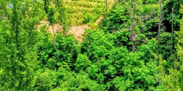 Image 3: dji_fly_20250623_141728_0158_17507027423