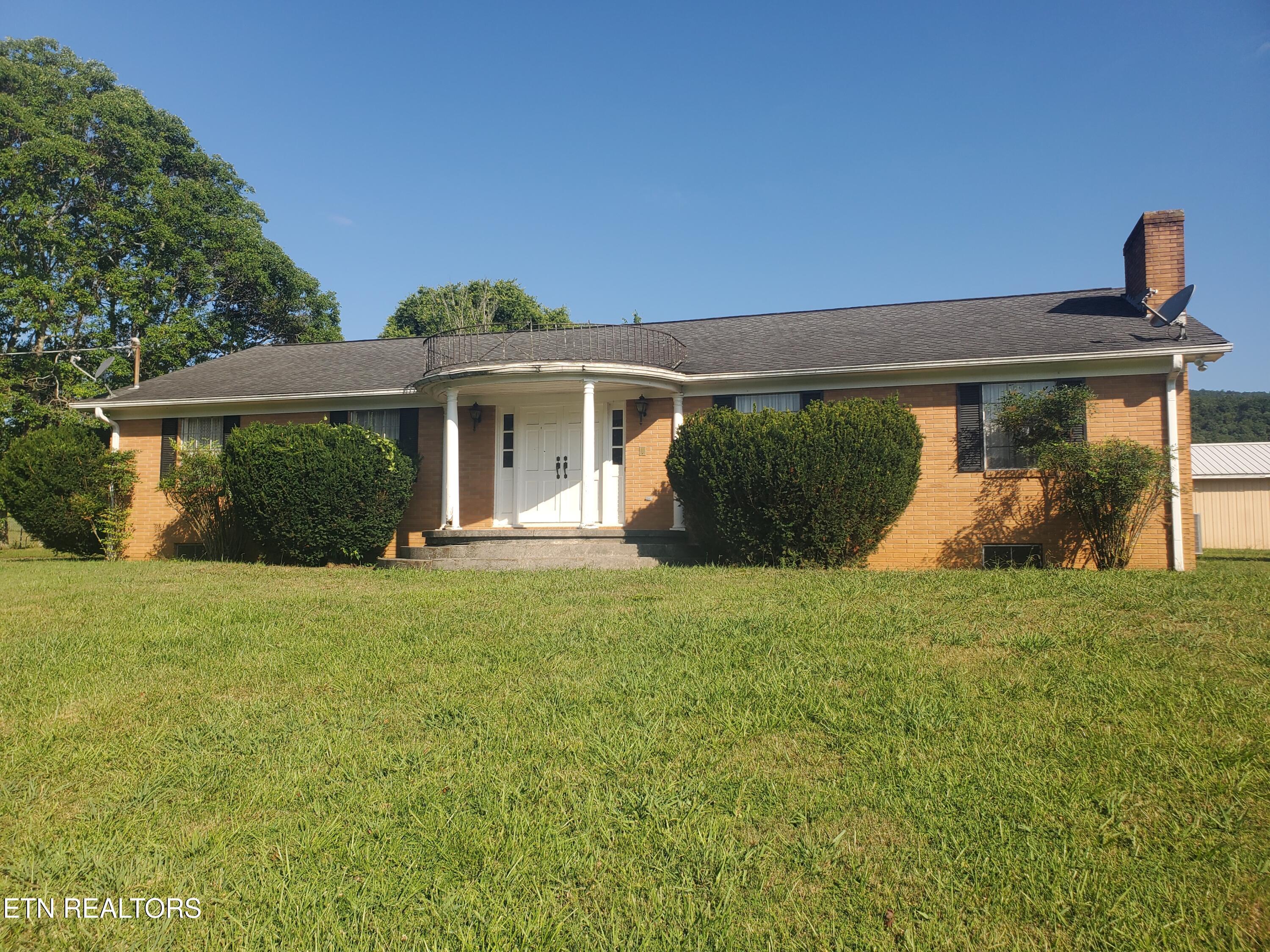 Image 4: 20250715_092748