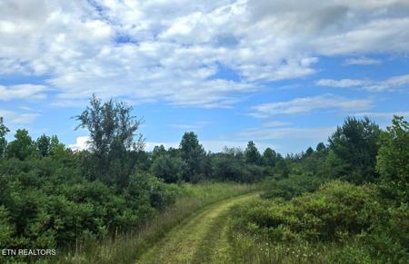 Tract 1 Grassy Knob Road
