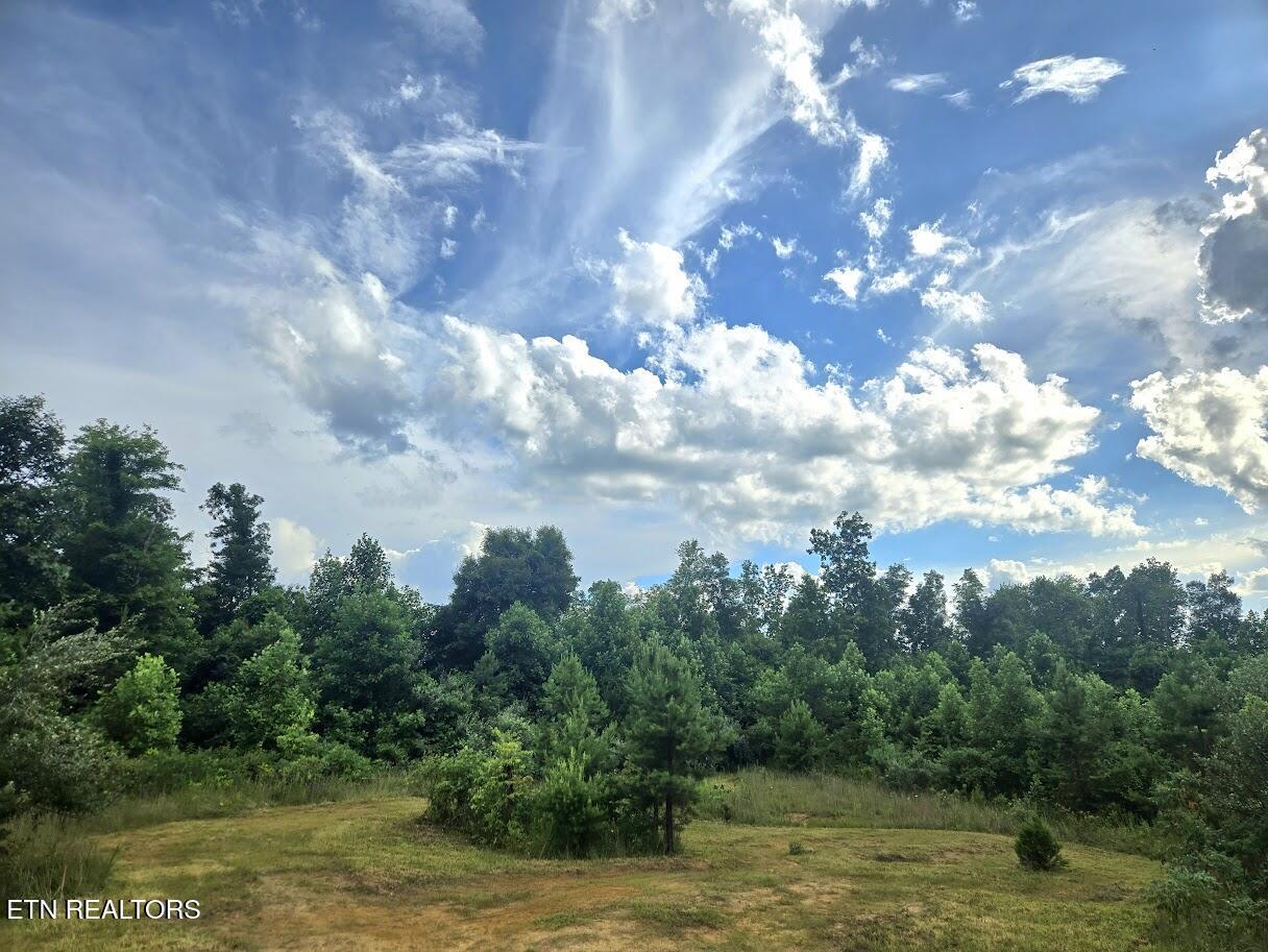 Image 2: 20250714_181913