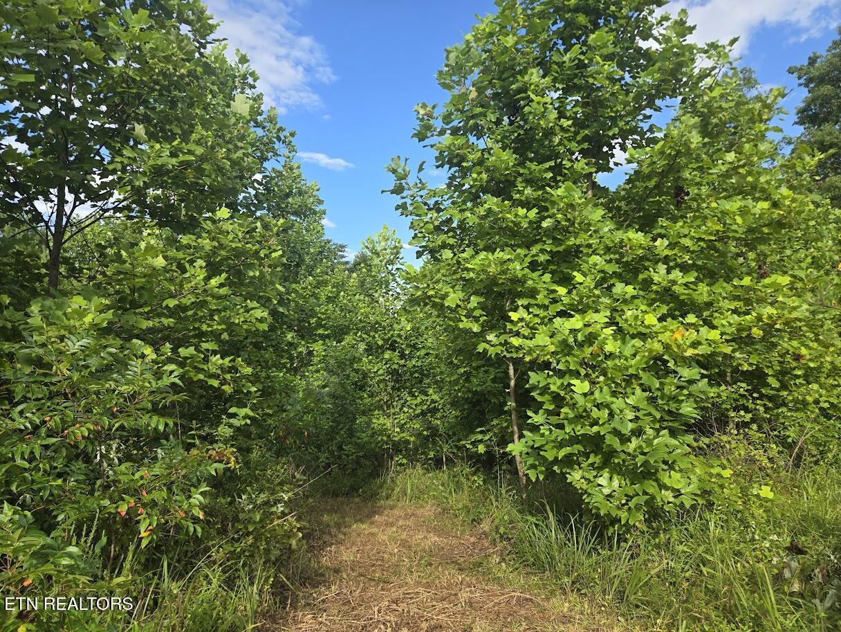 Image 3: 20250714_175752