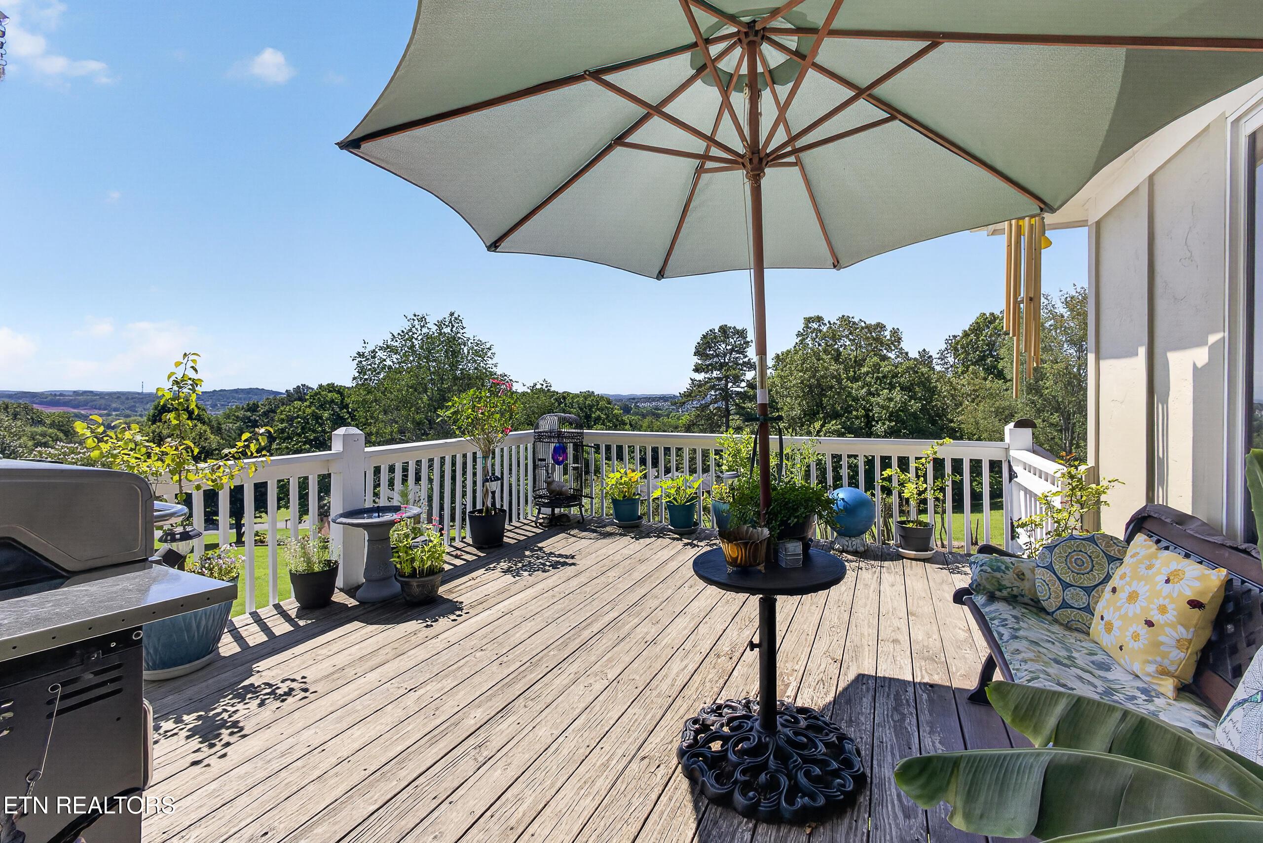 Image 3: Back deck with mountain view