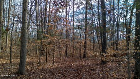 Tract 4 Armstrong Drive