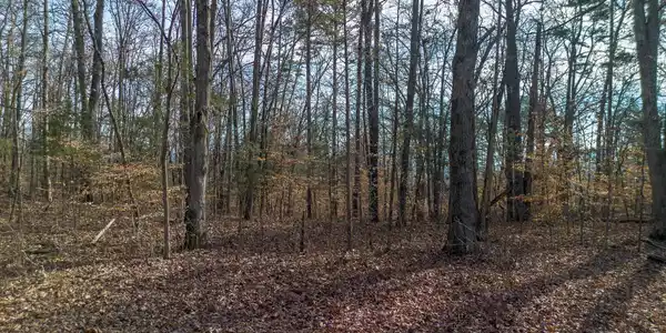 Image 2: DJI_0911