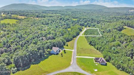 Lot 20 Daddys Creek Tr