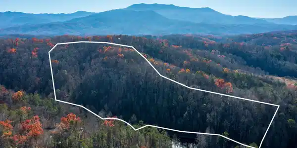 Image 2: DJI_0599-HDR lines