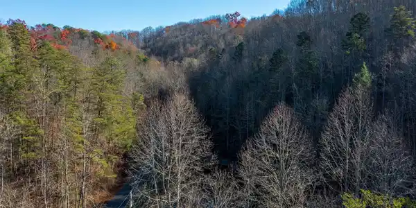 Image 3: DJI_0549-HDR